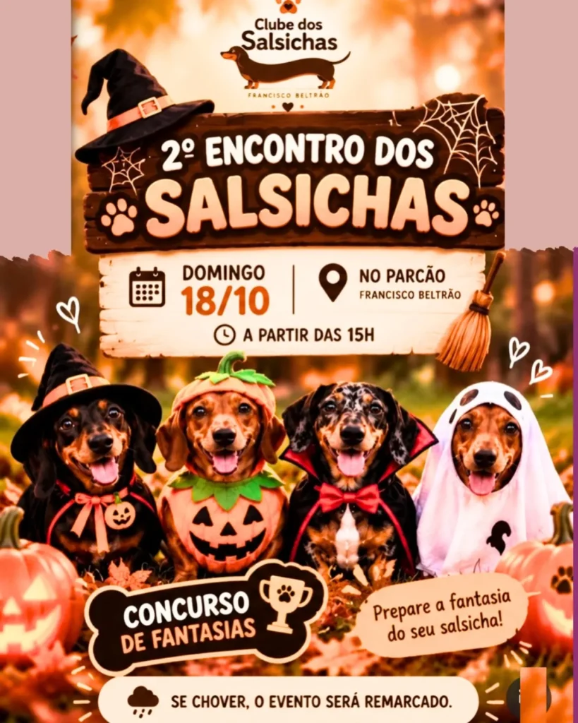 🎃🐾 Tá chegando o 2º Encontro dos Salsichas! Domingo, 18/10, a partir das 15h, o Parcão de Francisco Beltrão vai virar ponto de encontro da turma mais comprida e charmosa da cidade. 🌭🧡 E dessa vez teremos Concurso de Fantasias! Então capricha no look do seu salsichinha e vem participar com a gente. 👻🏆 📍 Parcão | Parque da Alvorada Francisco Beltrão PR 📅 Domingo dia 18/10 ⏰ A partir das 15h Se chover, o evento será remarcado. #franciscobeltrao #calendariodeeventosfb #eventosfb #clubedossalsichasfb